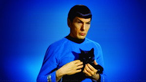 Star Trek kép