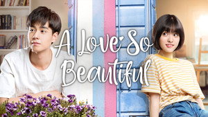 A Love So Beautiful kép