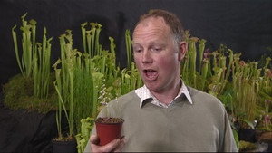 The Beechgrove Garden 36. évad Ep.9 9. epizód
