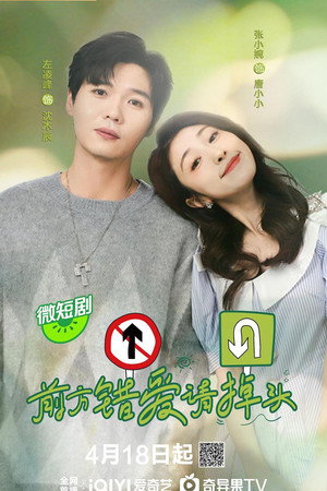 前方错爱请掉头 poszter