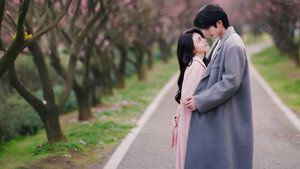 骄阳似我 kép