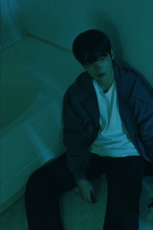 나미브 poszter