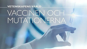 Vetenskapens värld 47. évad Ep.16 16. epizód
