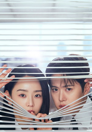 은밀한 감사 poszter
