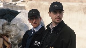 NCIS: Tengerészeti helyszínelők 19. évad Ep.12 Üss vagy fuss!