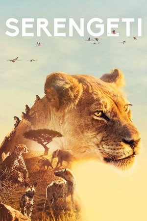 Élet a Serengeti Nemzeti Parkban 1. évad (2019-07-04) poszter