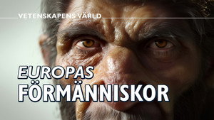 Vetenskapens värld 51. évad Ep.14 14. epizód