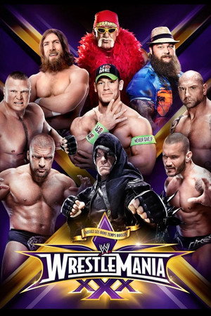 WWE Pay Per View 30. évad (2014-01-26) poszter