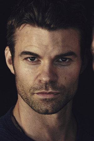 Daniel Gillies profil kép