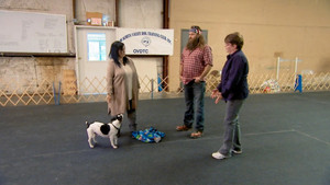 Duck Dynasty 7. évad Ep.9 9. epizód