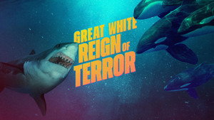 Shark Week 38. évad Ep.16 16. epizód