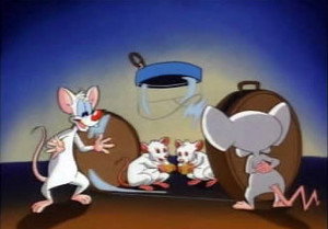 Pinky and the Brain 1. évad Ep.19 19. epizód