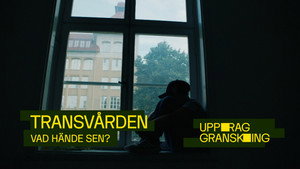 Uppdrag granskning sommar 2023. évad Ep.2 2. epizód