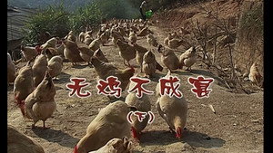 外来媳妇本地郎 5. évad Ep.1863 1863. epizód