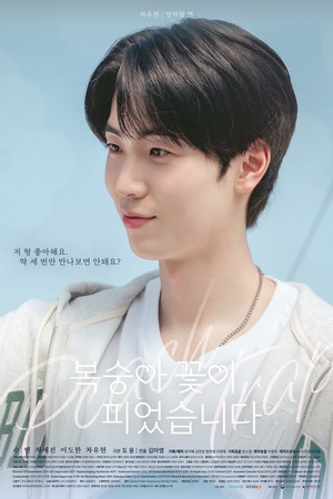 복숭아 꽃이 피었습니다 poszter