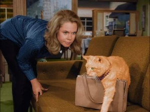 Bewitched 2. évad Ep.35 35. epizód