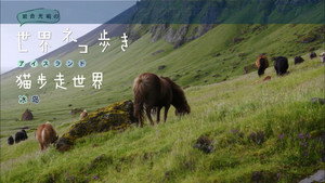 岩合光昭の世界ネコ歩き 1. évad Ep.65 65. epizód