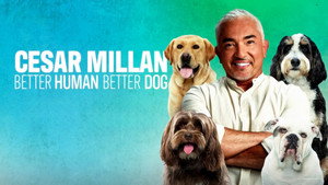 Cesar Millan: Jó gazdi, jó kutya kép