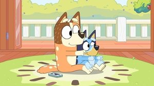 Bluey 3. évad Ep.20 Vezetős