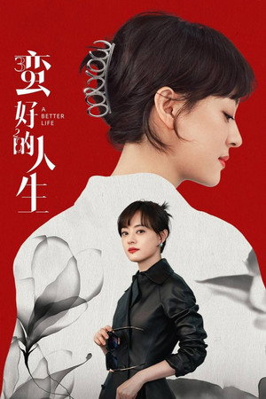 蛮好的人生 poszter