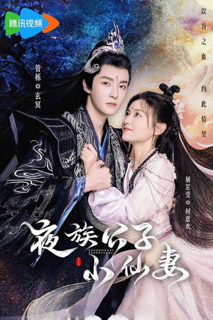 夜族公子小仙妻 poszter