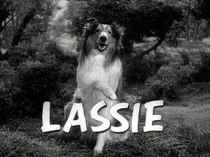 Lassie 10. évad Ep.1 1. epizód