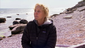 Bergmans video kép