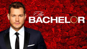 The Bachelor kép