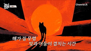 개와 늑대의 시간 kép