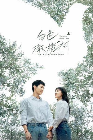 白色橄榄树 poszter