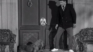 The Beverly Hillbillies 3. évad Ep.20 20. epizód