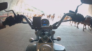 Caught on Dashcam 4. évad Ep.2 2. epizód