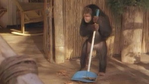 Tarzan 2. évad Ep.18 18. epizód