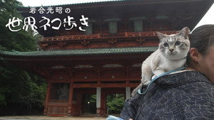岩合光昭の世界ネコ歩き 1. évad Ep.148 148. epizód