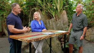 Robinson Ekspeditionen: Planken ud kép