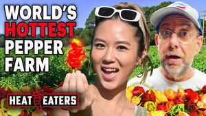 Heat Eaters 2. évad Ep.5 5. epizód