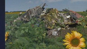 Murder in the Skies: Who Downed Mh17? 1. évad Ep.2 2. epizód