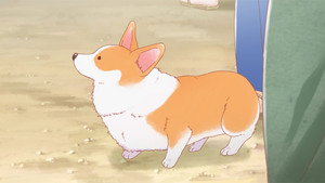 殿と犬 1. évad Ep.9 9. epizód