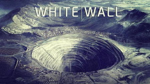 White Wall kép