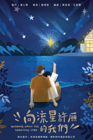 向流星許願的我們 poszter