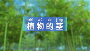 斑马百科 4. évad Ep.3 3. epizód