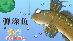 我是不白吃 1. évad Ep.199 199. epizód