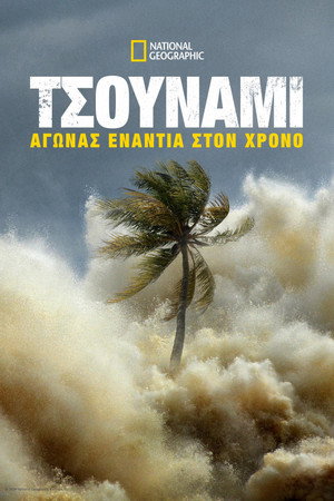 2004-es szökőár: Versenyfutás az idővel poszter