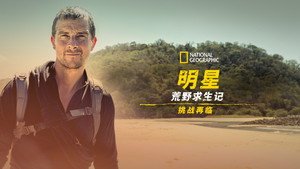Bear Grylls - Sztárok a vadonban: A kihívás kép