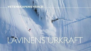 Vetenskapens värld 47. évad Ep.41 41. epizód