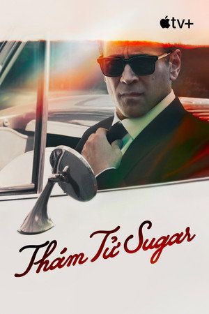 Sugar poszter