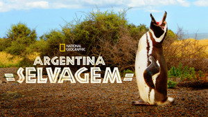 Vad Argentína kép