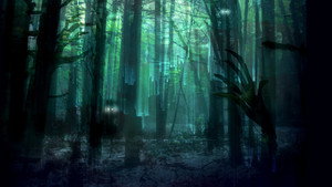 Terror in the Woods kép