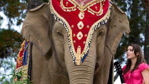 The Elephant Princess 1. évad Ep.21 21. epizód