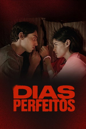 Dias Perfeitos poszter